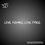 Live Young Live Free Sticker